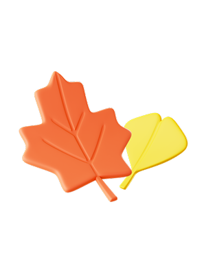 단풍잎 3D 아이콘