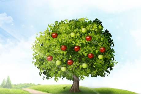 두드림 장애인 모금 홈페이지  디자인